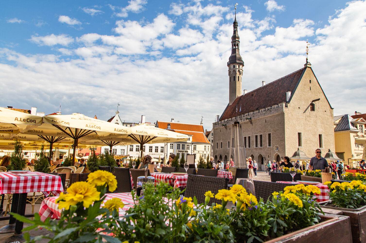 Scandinavian Cities & Baltic Discoveries